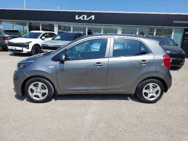 SPOTICAR Kia Picanto 1.0 12v 5 Porte Urban Plus Usata - City Car Benzina Grigio - Trapani - 1202491559_2
