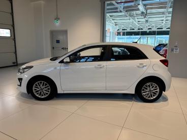 SPOTICAR Kia Rio 1.0 74kw Mhev Style Usata - City Car Ibrido Bianco - Roma - 1202378915_4