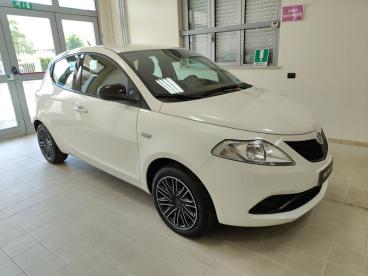 LANCIA CERTIFIED Lancia Ypsilon 1.2 69 Cv 5 Porte Gold Usata - City Car Benzina Bianco - Foggia - 2380026_1