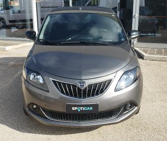 LANCIA CERTIFIED Lancia Ypsilon 1.2 69 Cv 5 Porte Gpl Gold Plus Usata - City Car Gpl Grigio - Foggia - 2397651_2