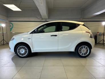 SPOTICAR Lancia Ypsilon 1.2 69cv Start& Stop Elefantino Blu Usata - City Car Benzina Bianco - Sesto San Giovanni - 1202404015_4