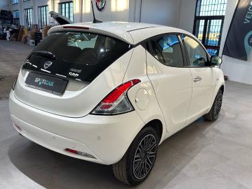 LANCIA CERTIFIED Lancia Ypsilon 1.0 Firefly 5 Porte Hybrid Ecochic Gold Usata - City Car Ibrido Bianco - Bologna - 2416357_4