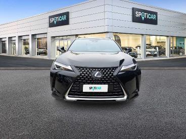 SPOTICAR Lexus Ux Hybrid Executive Usata - Suv Benzina Nero - Foligno - 1202231565_2