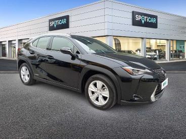 SPOTICAR Lexus Ux Hybrid Executive Usata - Suv Benzina Nero - Foligno - 1202231565_3