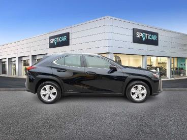 SPOTICAR Lexus Ux Hybrid Executive Usata - Suv Benzina Nero - Foligno - 1202231565_4