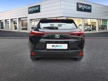 SPOTICAR Lexus Ux Hybrid Executive Usata - Suv Benzina Nero - Foligno - 1202231565_5