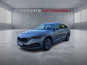 SPOTICAR Skoda Felicia Wagon 2.0 Tdi Evo Style 115cv Dsg Usata - Station Wagon Diesel Argento - Albignasego - 502285207_1