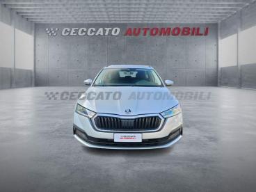 SPOTICAR Skoda Felicia Wagon 2.0 Tdi Evo Executive 115cv Dsg Usata - Station Wagon Diesel Argento - Thiene - 502431449_4