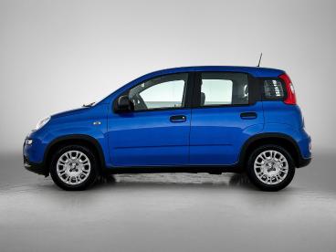 SPOTICAR Fiat Panda 1.0 70pk Hybrid City | Cruise Control | Parkeersen Tweedehands -  Benzine Blauw - Eindhoven - 1200295193_5