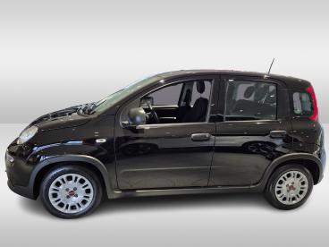 SPOTICAR Fiat Panda  Tweedehands -  Hybride Zwart - Zoetermeer - 1200303733_3