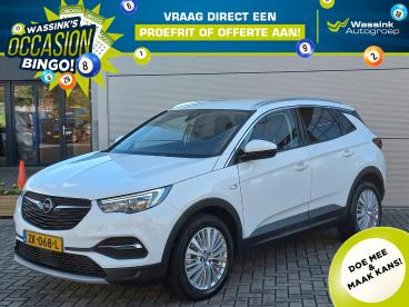 SPOTICAR Opel Grandland X 1.2t 130pk Business Executive Automaat | Climate C Tweedehands - Suv Benzine Wit - Elst - 1200279423_1
