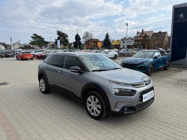 Citron C4 Cactus Uywany na sprzeda | Spoticar PL