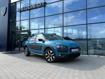 Citron C4 Cactus Uywany na sprzeda | Spoticar PL