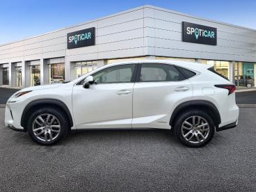 SPOTICAR Lexus Nx 300h Elegance Awd Uzywany - Suv Benzyna Biały - Gdańsk - 1200219674_4