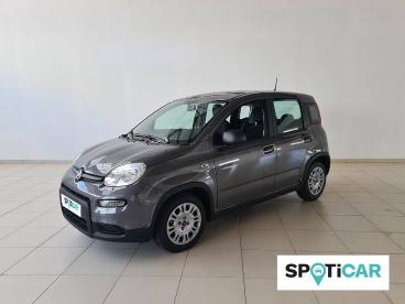 SPOTICAR Fiat Panda 1.0 Hybrid 70cv Hybrid Launch Edition Usada - Citadino Gasolina  - Castelo Branco - 1200208264_1