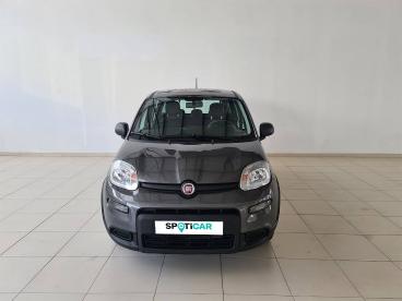 SPOTICAR Fiat Panda 1.0 Hybrid 70cv Hybrid Launch Edition Usada - Citadino Gasolina  - Castelo Branco - 1200208264_2