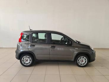 SPOTICAR Fiat Panda 1.0 Hybrid 70cv Hybrid Launch Edition Usada - Citadino Gasolina  - Castelo Branco - 1200208264_4