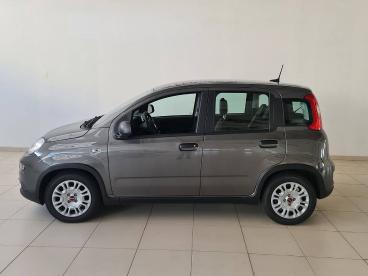 SPOTICAR Fiat Panda 1.0 Hybrid 70cv Hybrid Launch Edition Usada - Citadino Gasolina  - Castelo Branco - 1200208264_5