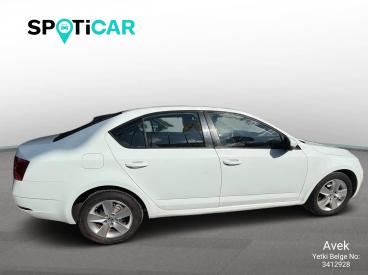 SPOTICAR Skoda Octavia Optimal 1.6 Tdi Cr 105 Dsg Green Tec İkinci El Araç - Hatchback Dizel Beyaz - Istanbul - 1200037399_4