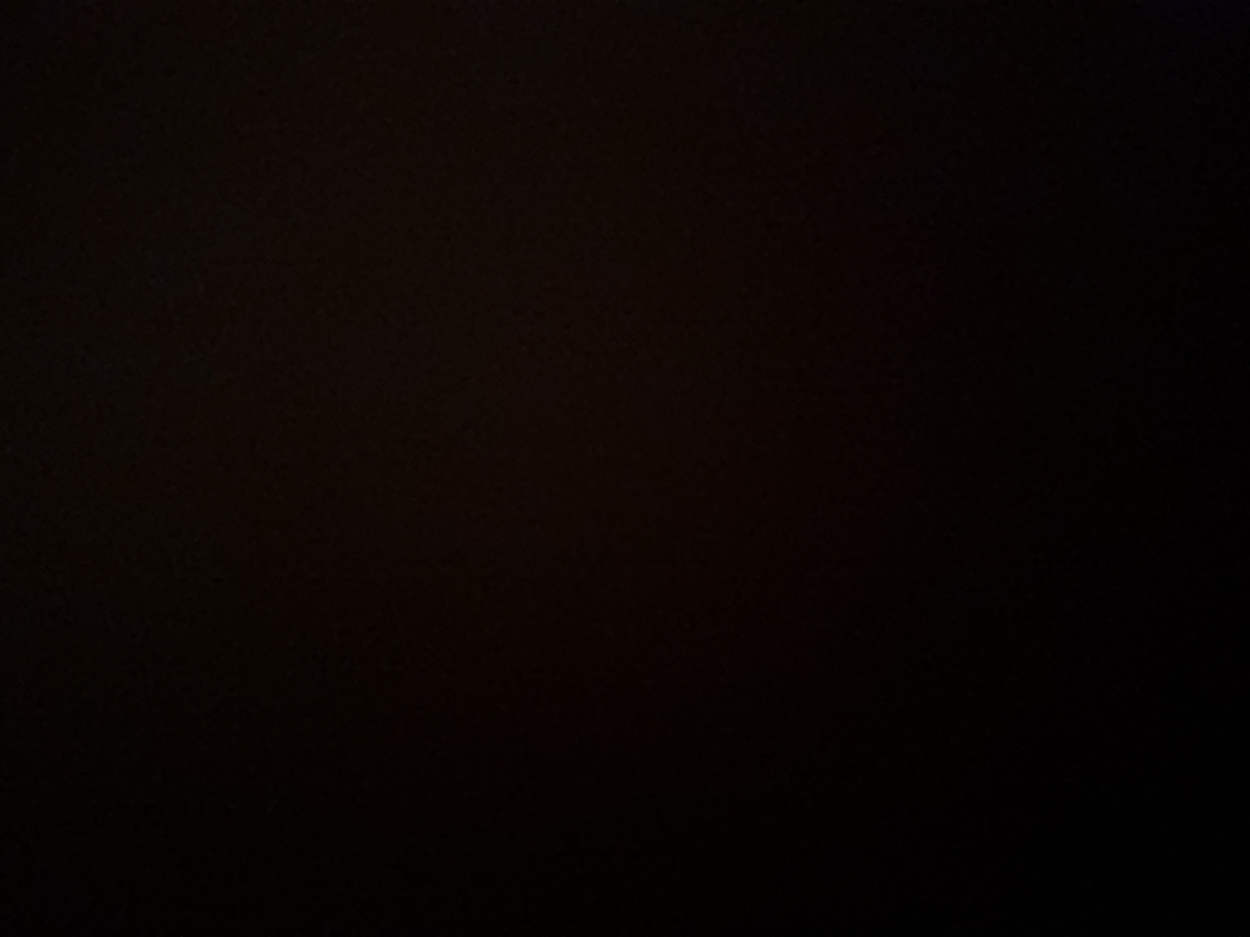 تويوتا كورولا xli  2024 image