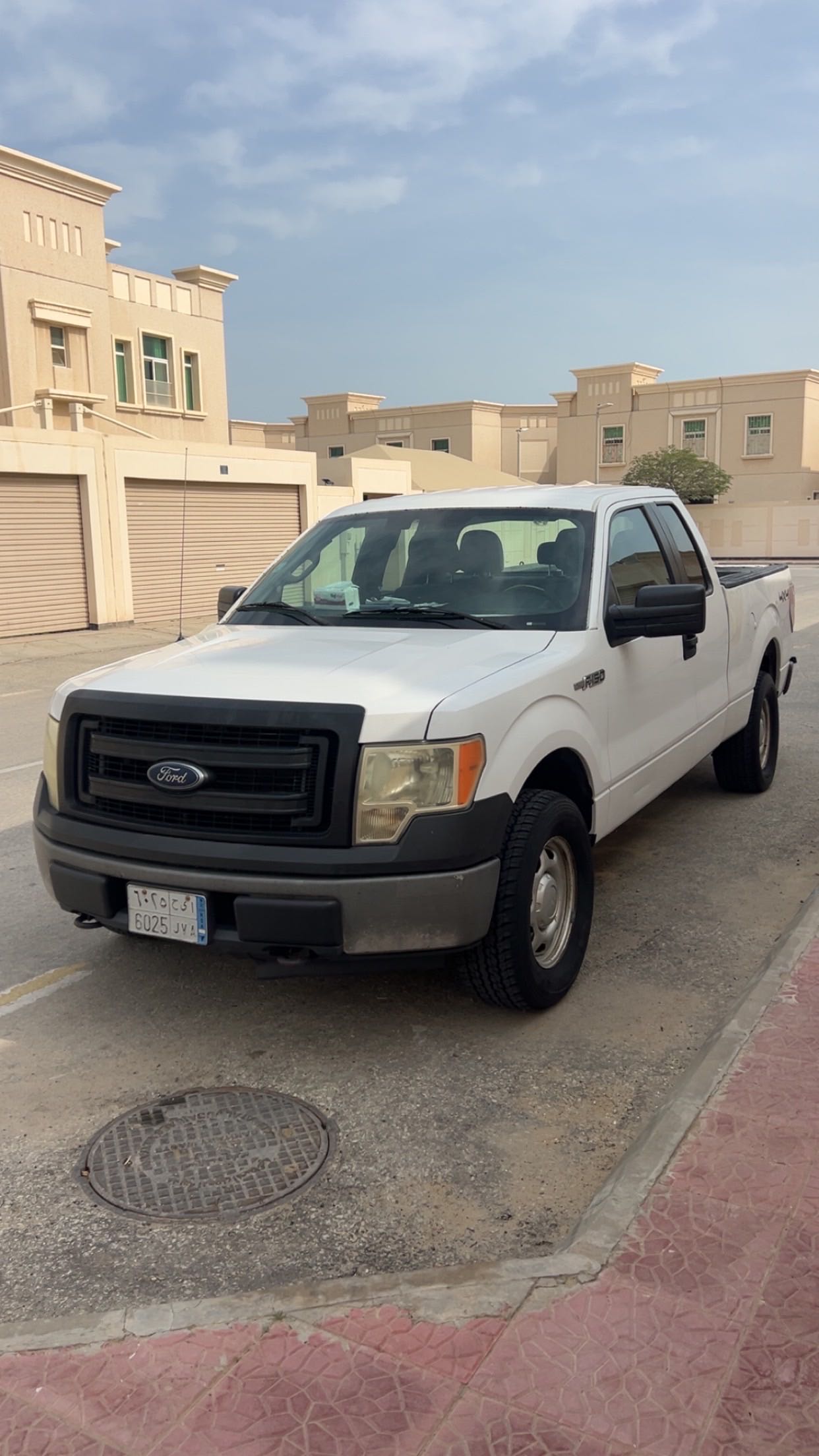 فورد F150  2014 image