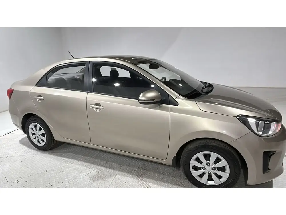 KIA Pegas STD 2024