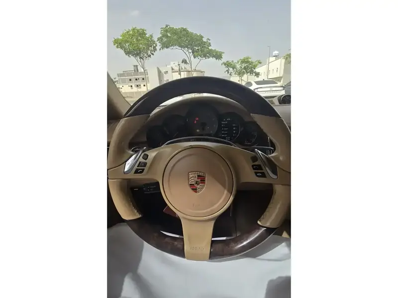 بورش باناميرا 2014 6