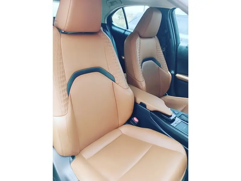Lexus UX 2019 6