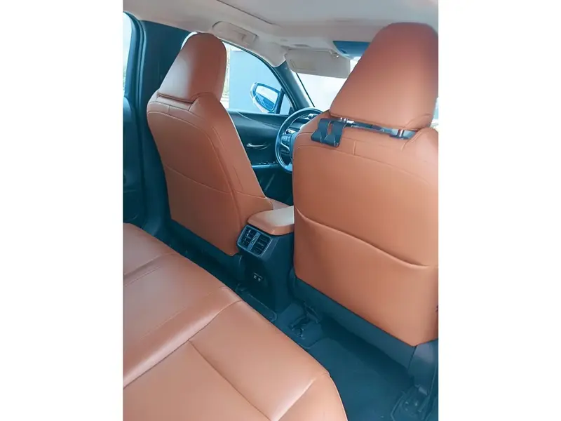 Lexus UX 2019 10