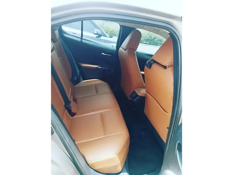 Lexus UX 2019 12
