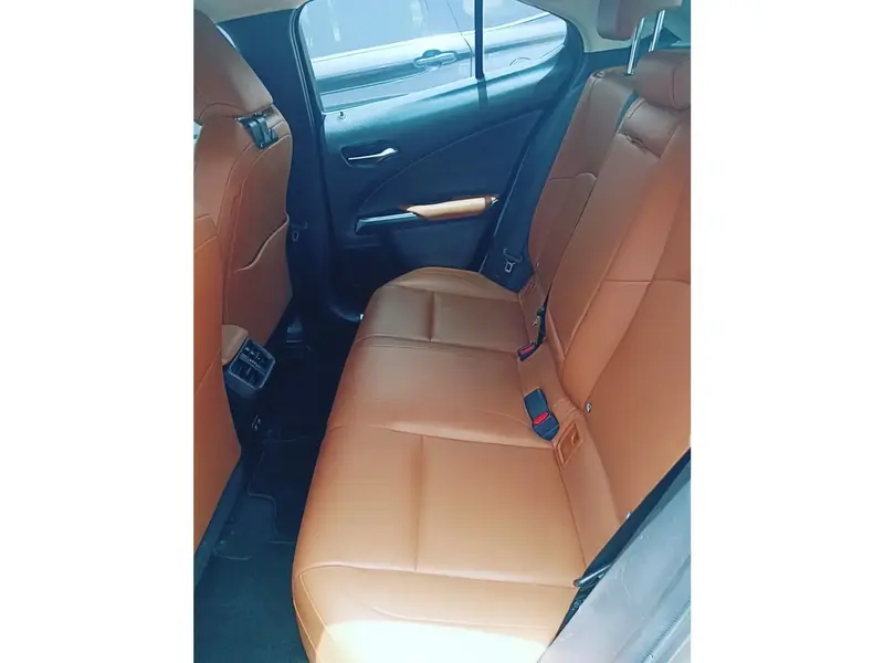Lexus UX 2019 8