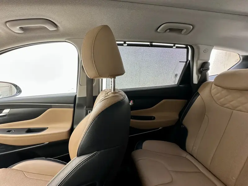 Hyundai SantaFe 2023 6