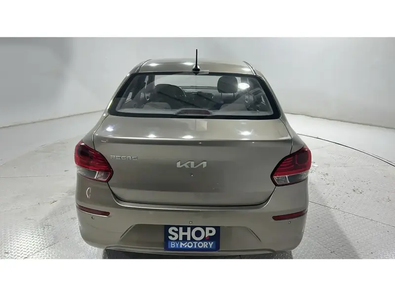 KIA Pegas STD 2024 3