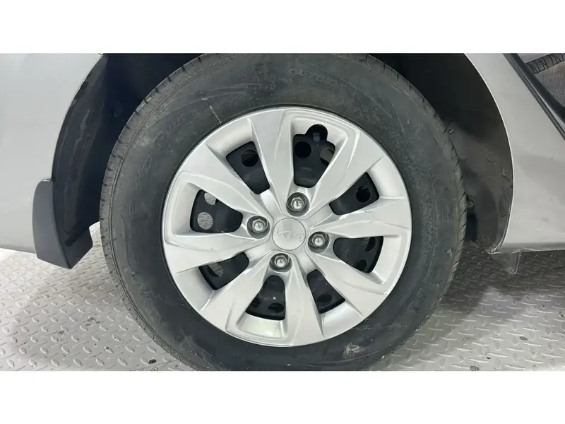 KIA Pegas STD 2024 19