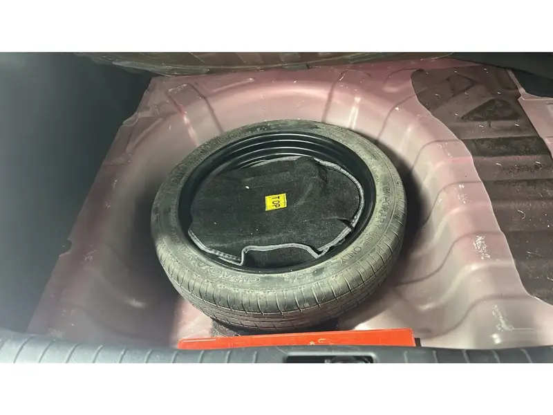KIA Pegas STD 2024 31