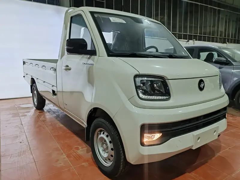 Foton Thunder 2026 2