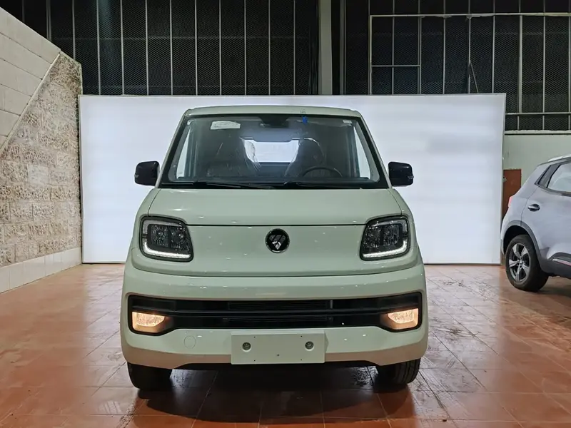 Foton Thunder 2026 1