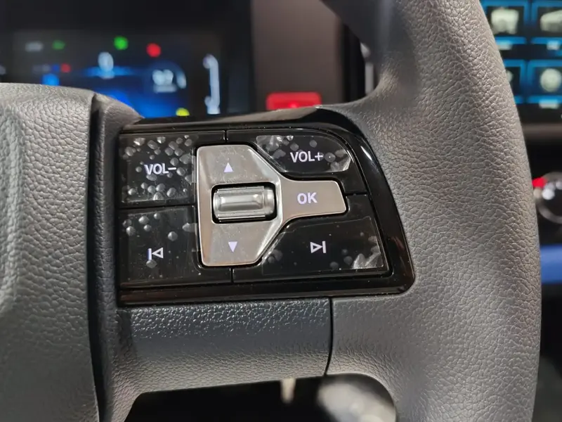 Foton Thunder 2026 17