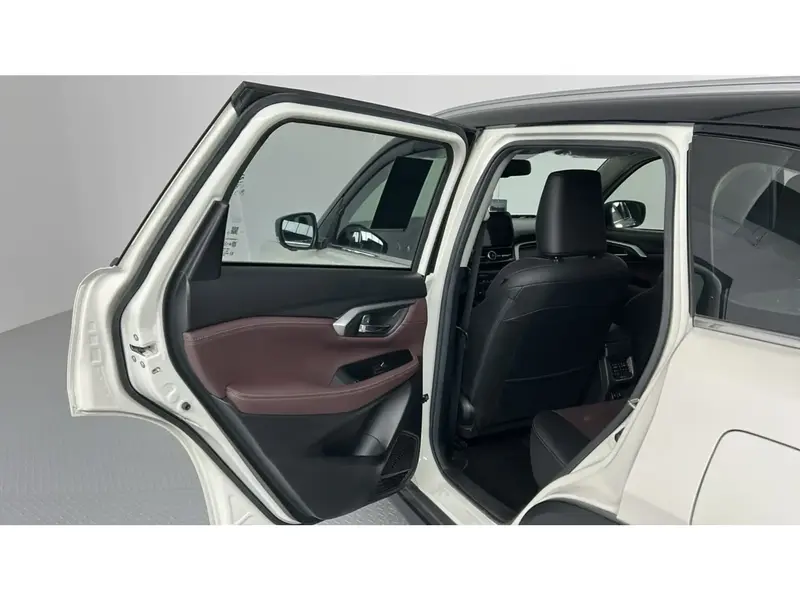 Toyota Urban Cruiser GLX 2025 13