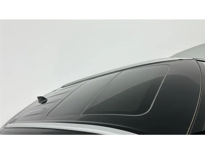 Toyota Urban Cruiser GLX 2025 33