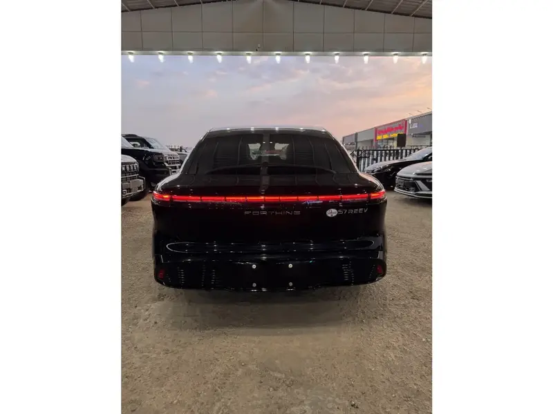 Dongfeng 007 2027 4