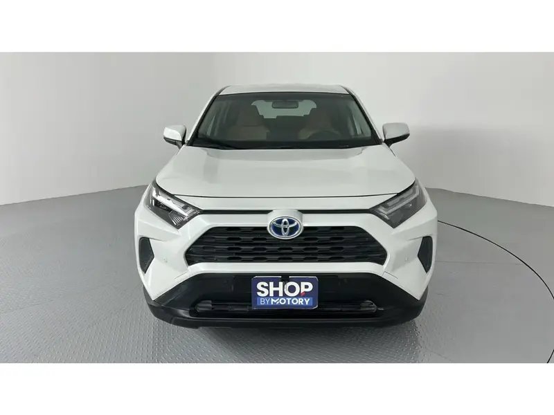 Toyota RAV4 LE 2024 1