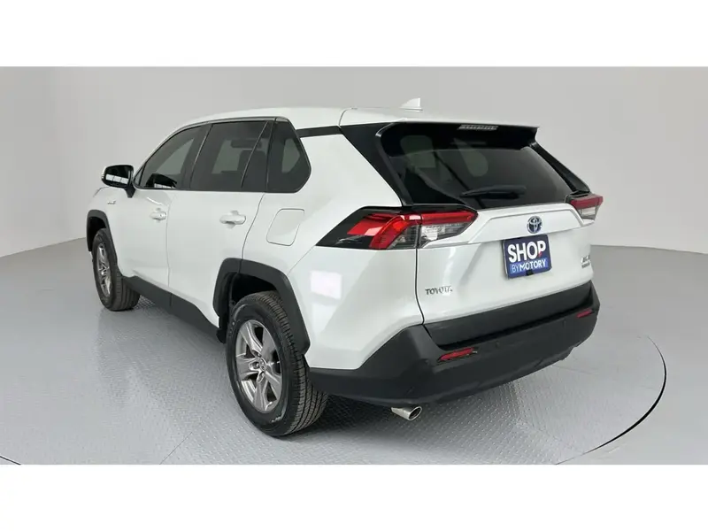 Toyota RAV4 LE 2024 16