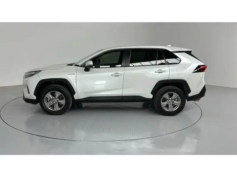 Toyota RAV4 LE 2024 18