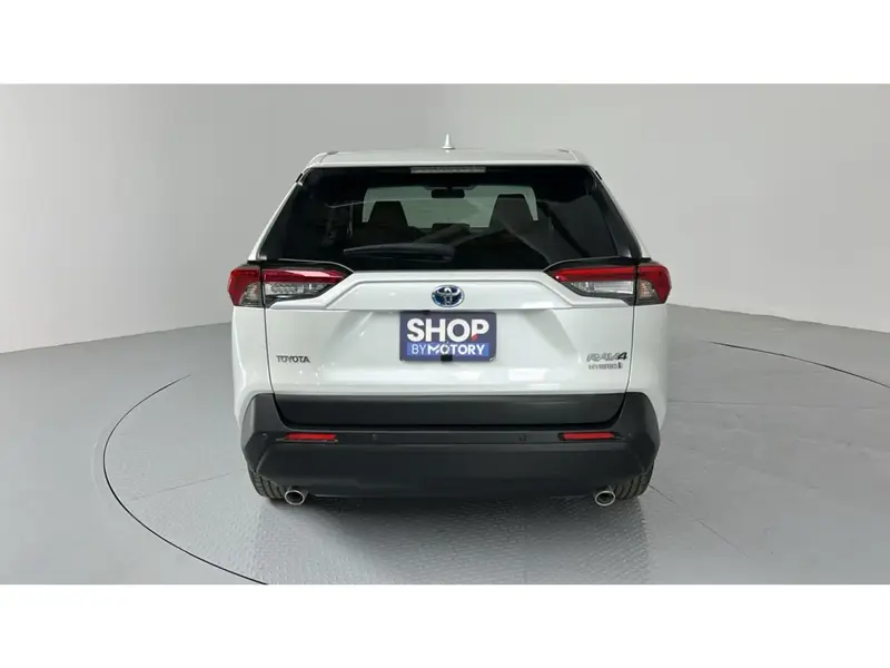 Toyota RAV4 LE 2024 20
