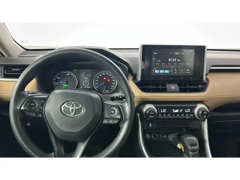 Toyota RAV4 LE 2024 25