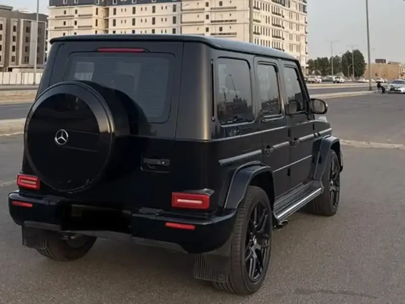 Mercedes AMG 2019 5