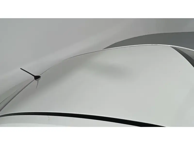 KIA Pegas Standard 2023 31