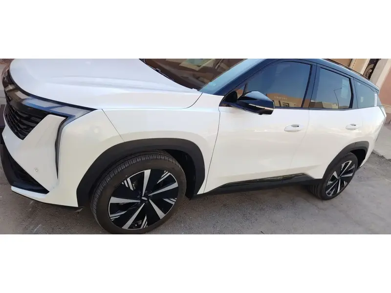Geely STARRAY 2024 14