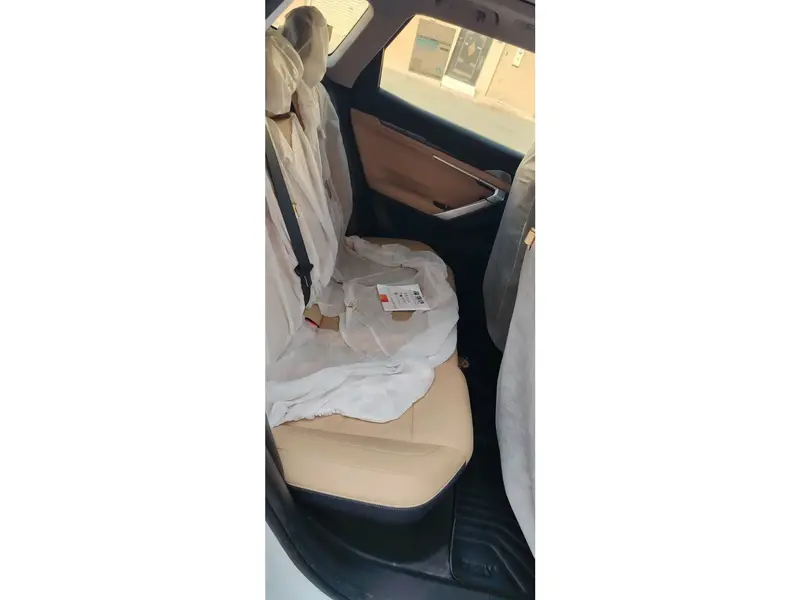 Geely STARRAY 2024 10